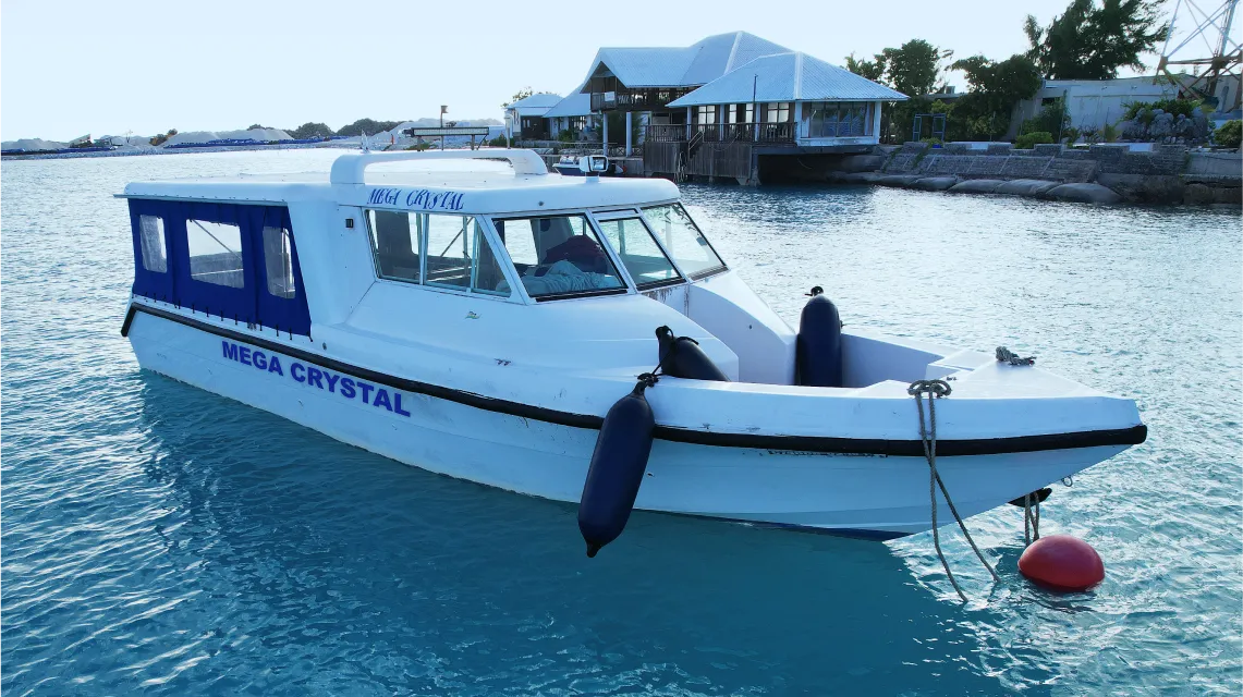 ميجا كريستال