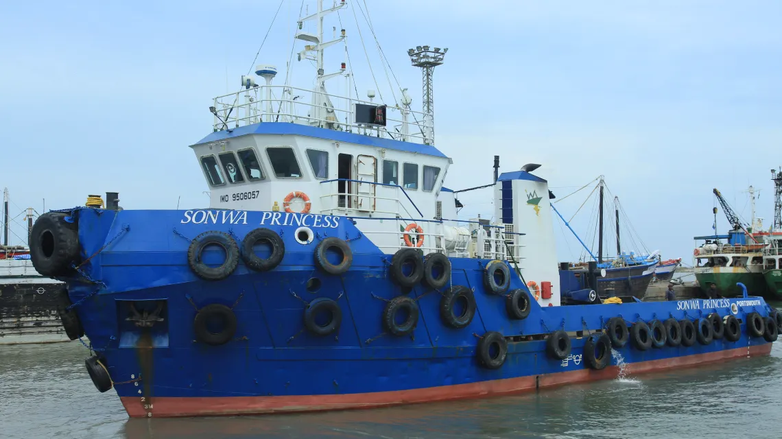 الأميرة سنوا