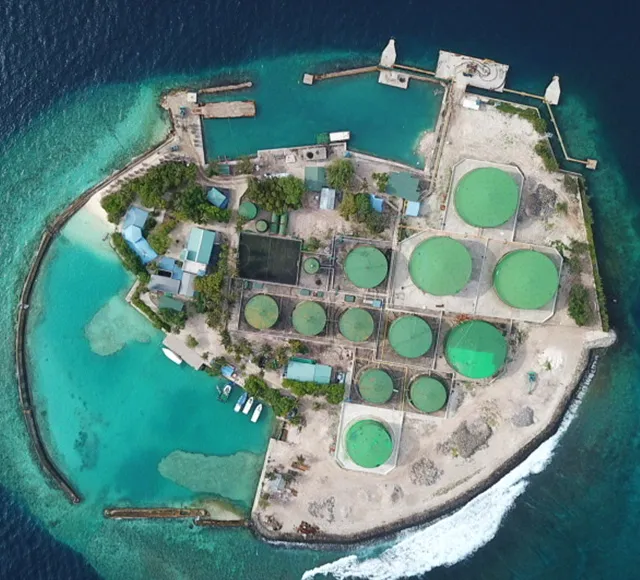 أعمال حماية ساحل ك. فونادهو